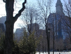 View from Columbus Park