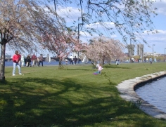 Charles River Park 4